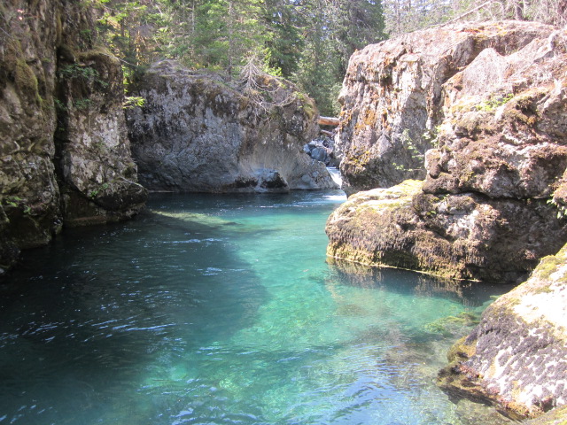 Dukabush River pool above Five Mile Camp