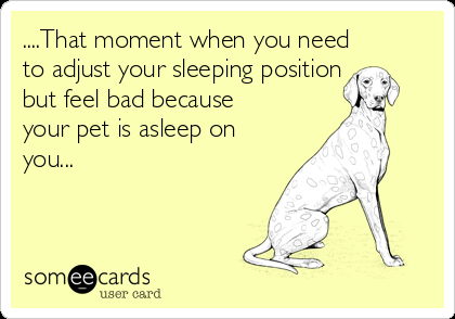 that-moment-when-you-need-to-adjust-your-sleeping-position-but-feel-bad-because-your-pet-is-asleep-on-you-d881b.png