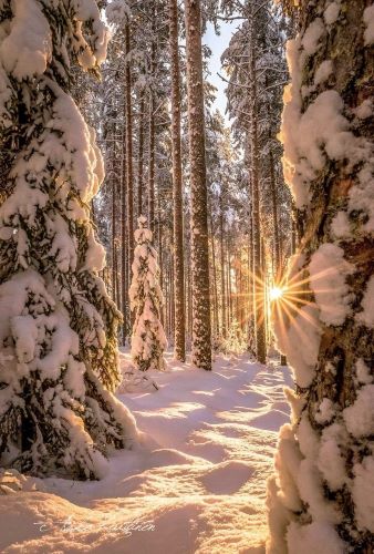 winter..jpg