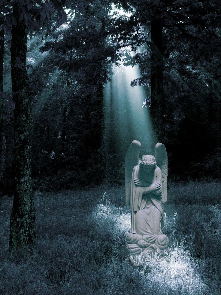 angel in the woods2.jpg