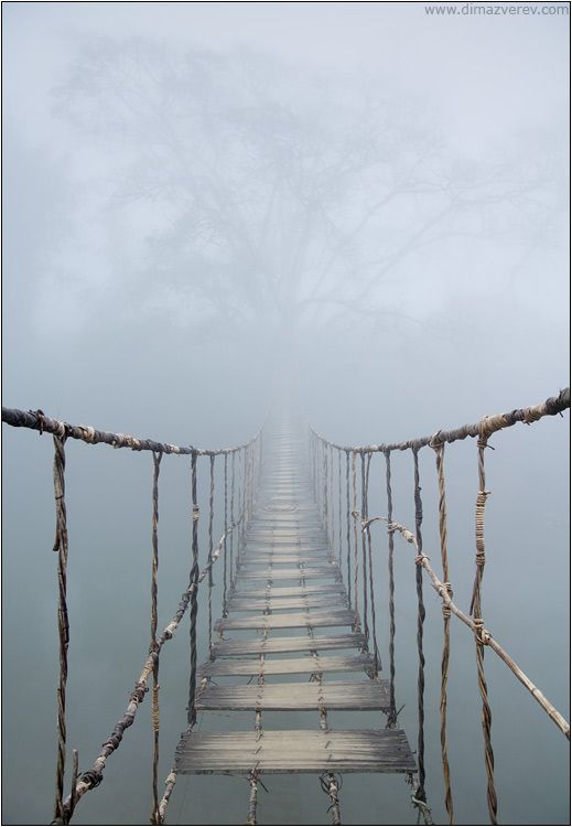 ropes bridge.jpg